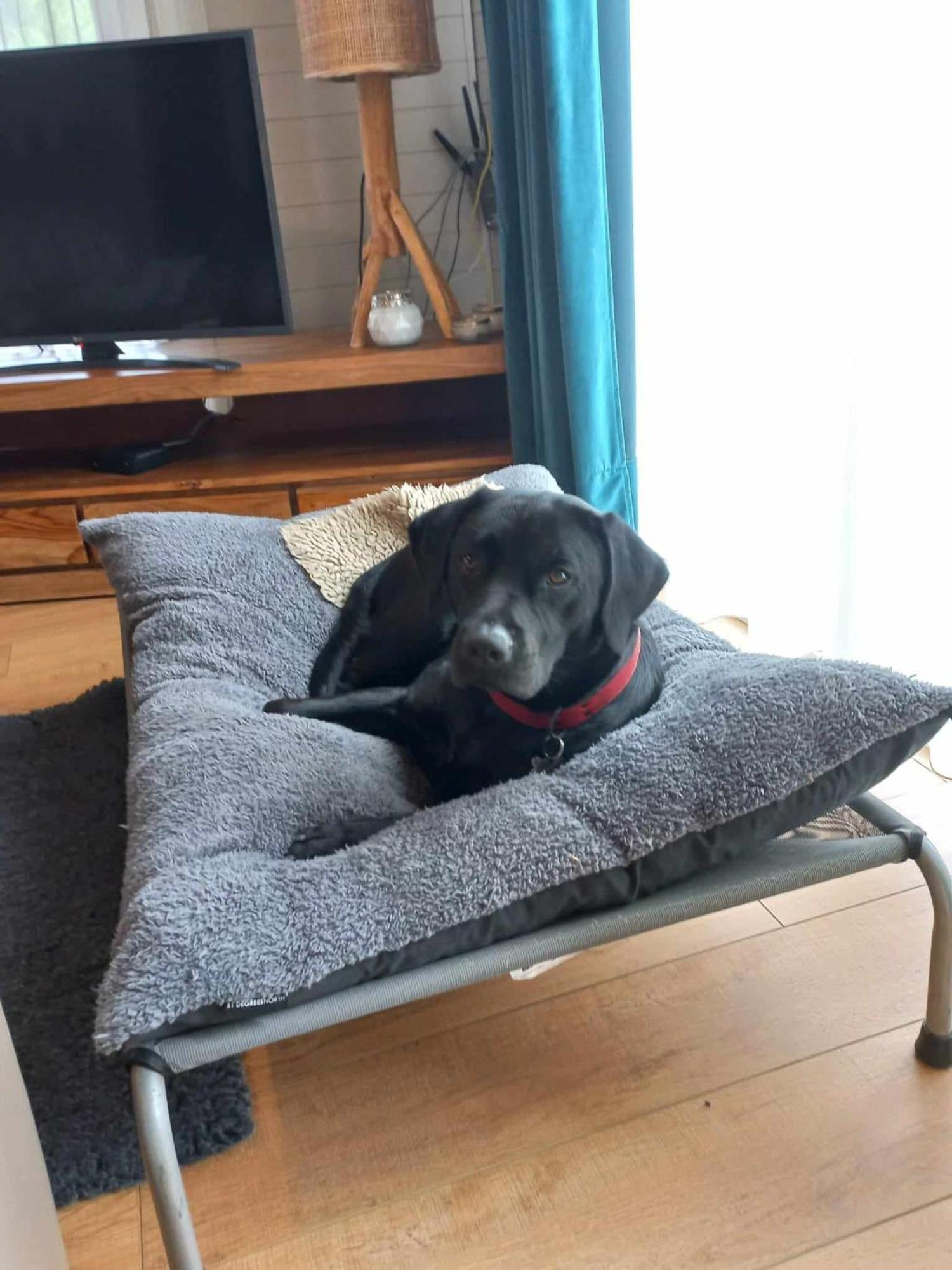 Le Mont Celeste Dogs Friendly Nonceveux Εξωτερικό φωτογραφία